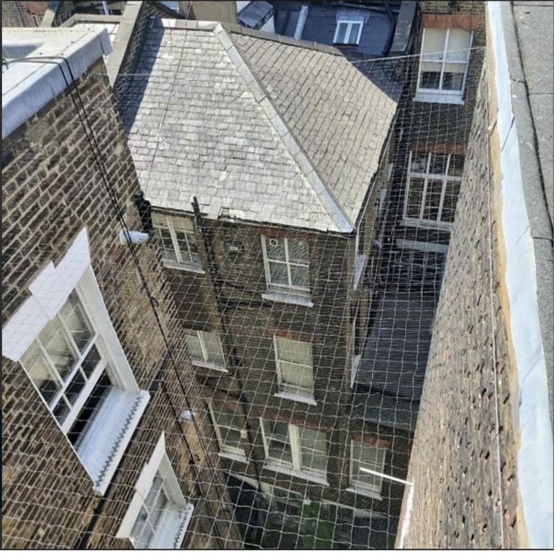 Bird netting installed across a building lightwell