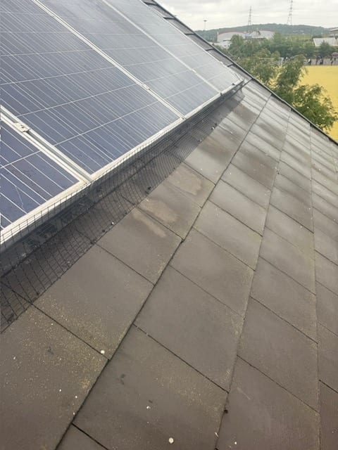 Solar panel mesh fitted along the edge of a rooftop array to exclude birds from beneath the panels