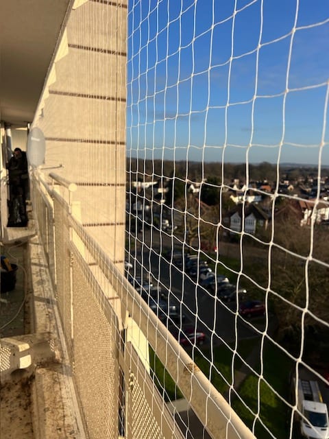 White bird netting to a balcony overlooking suburban rooftops
