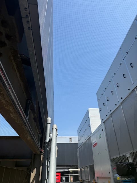 Bird netting spanning the gap between two buildings