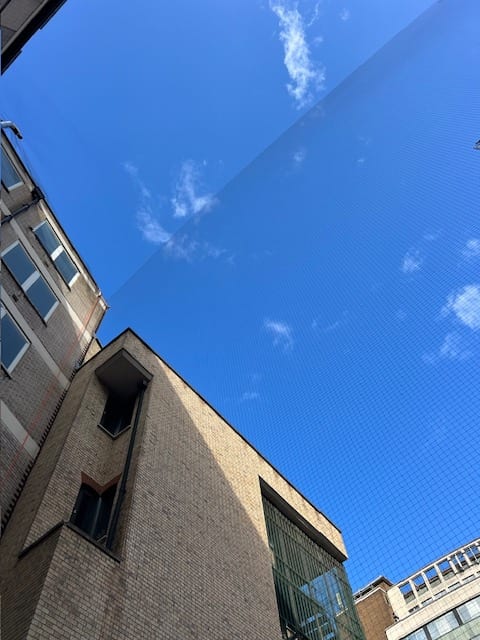 Fine bird netting spanning a gap between two facades
