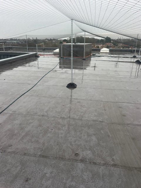 Post-and-wire bird netting across a flat roof