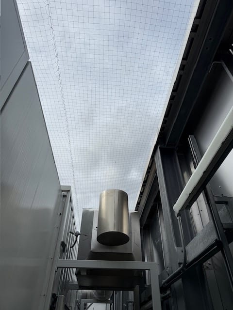Bird netting installed above rooftop plant and ductwork