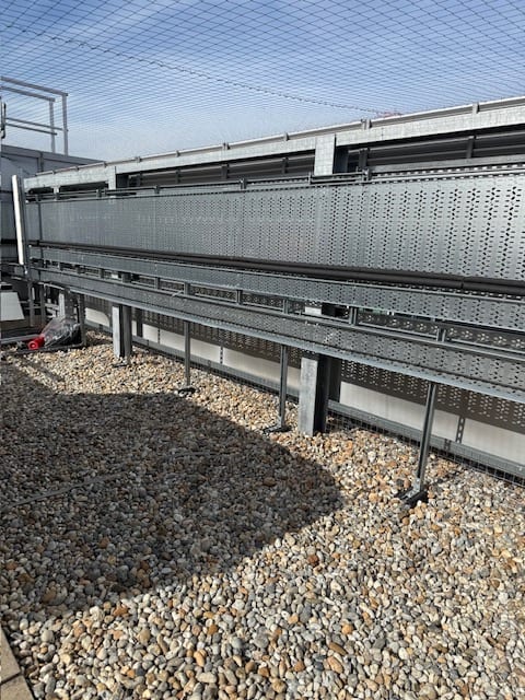 Bird netting above a perforated metal plant screen