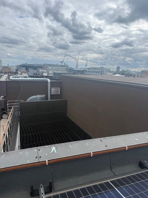 Bird netting over a roof area with solar panels