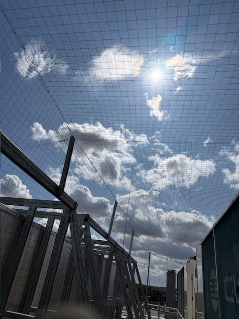 Bird netting supported on rooftop steelwork