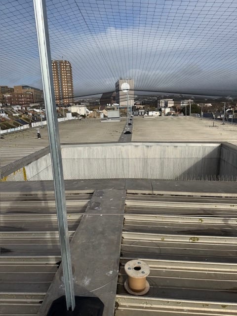 Tensioned bird netting canopy over a rooftop