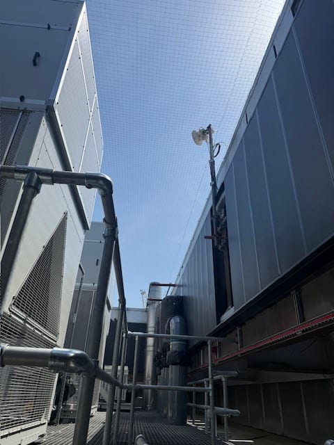 Bird netting over rooftop air handling plant