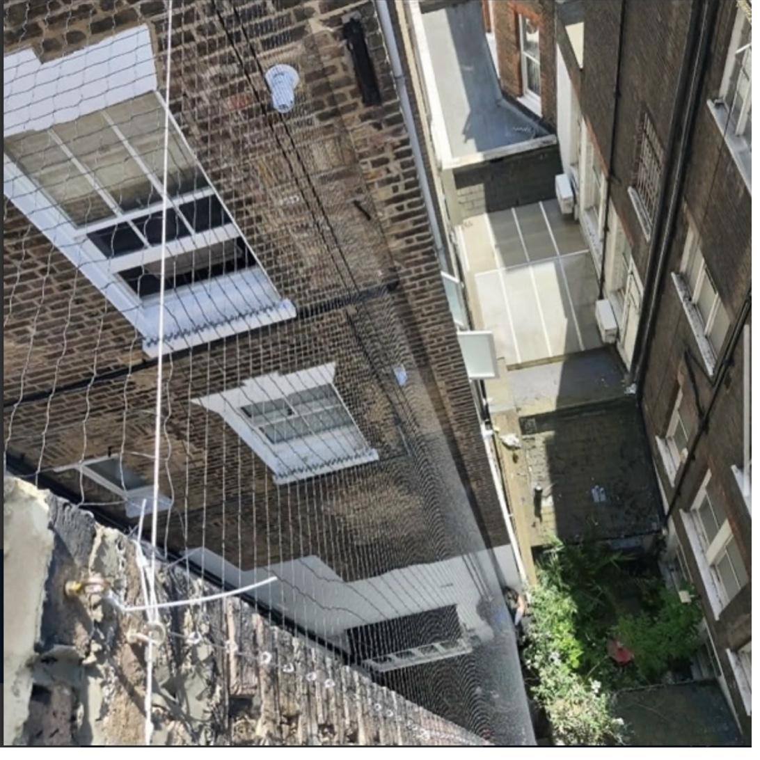 Estate-wide bird netting scheme in progress
