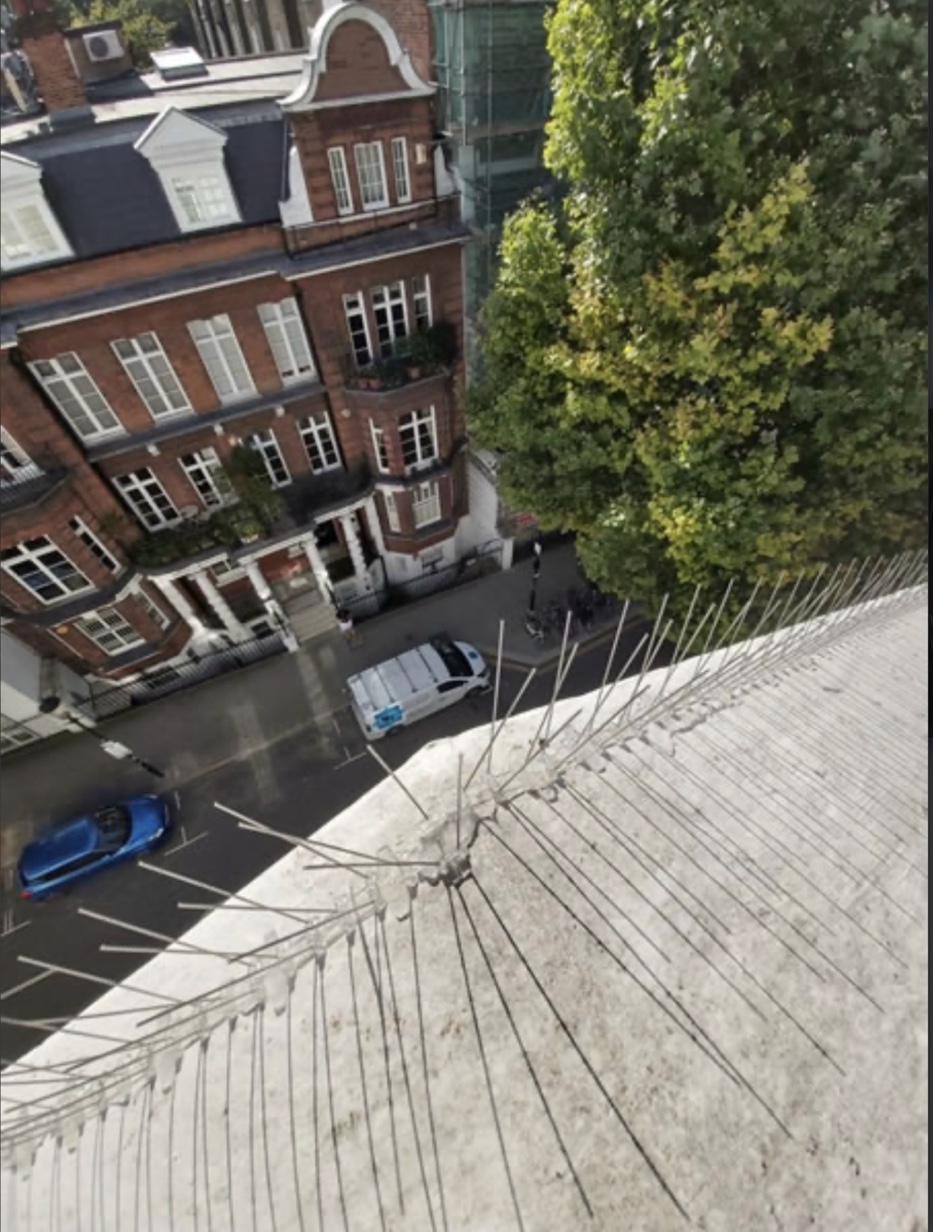Anti-perch spikes installed to a street-facing parapet